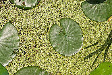 《无主之地3》1.28更新上线 首次为PS加入跨平台联机